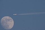 JA8919
